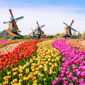 Best Prepaid Virtual eSIM for iPhones & other devices for Netherland Travel