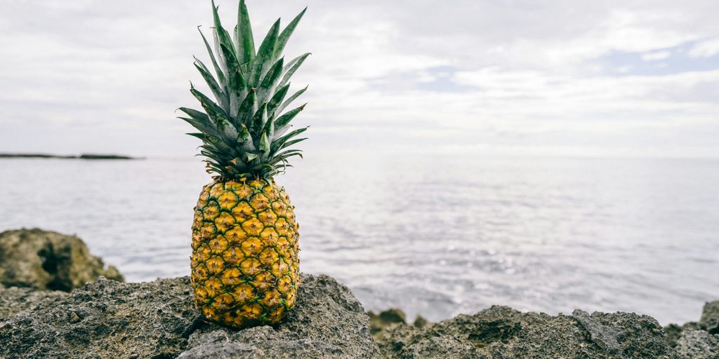 pineapple on gray rock near body of water