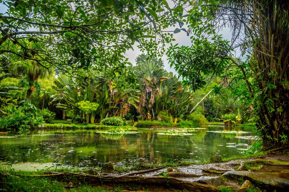 Amazon Rainforest Adventure: A Journey into the Heart of Nature