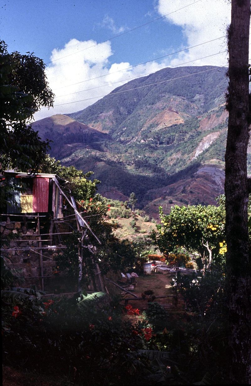 Blue Mountain Jamaica