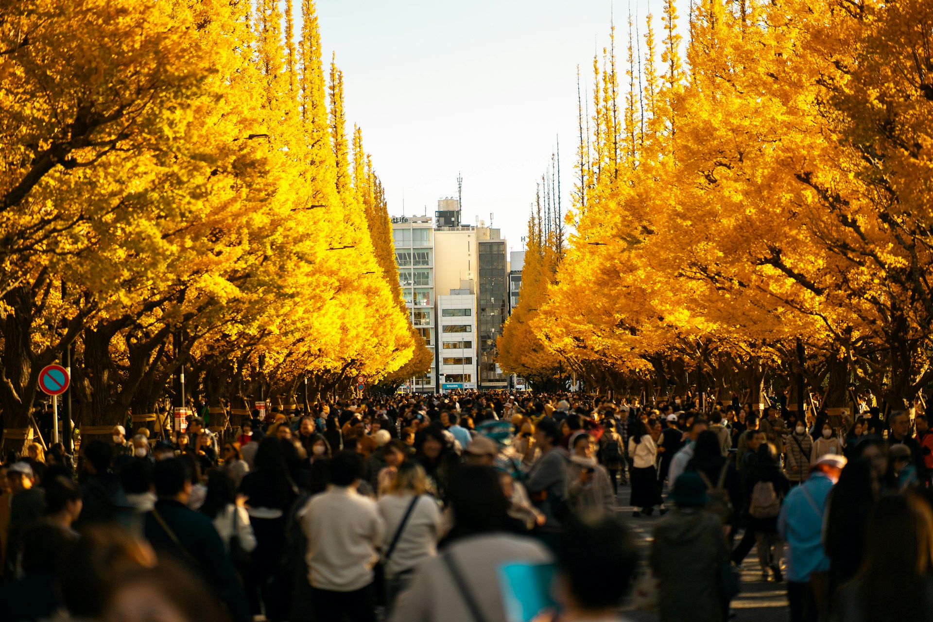 best time of year to visit japan