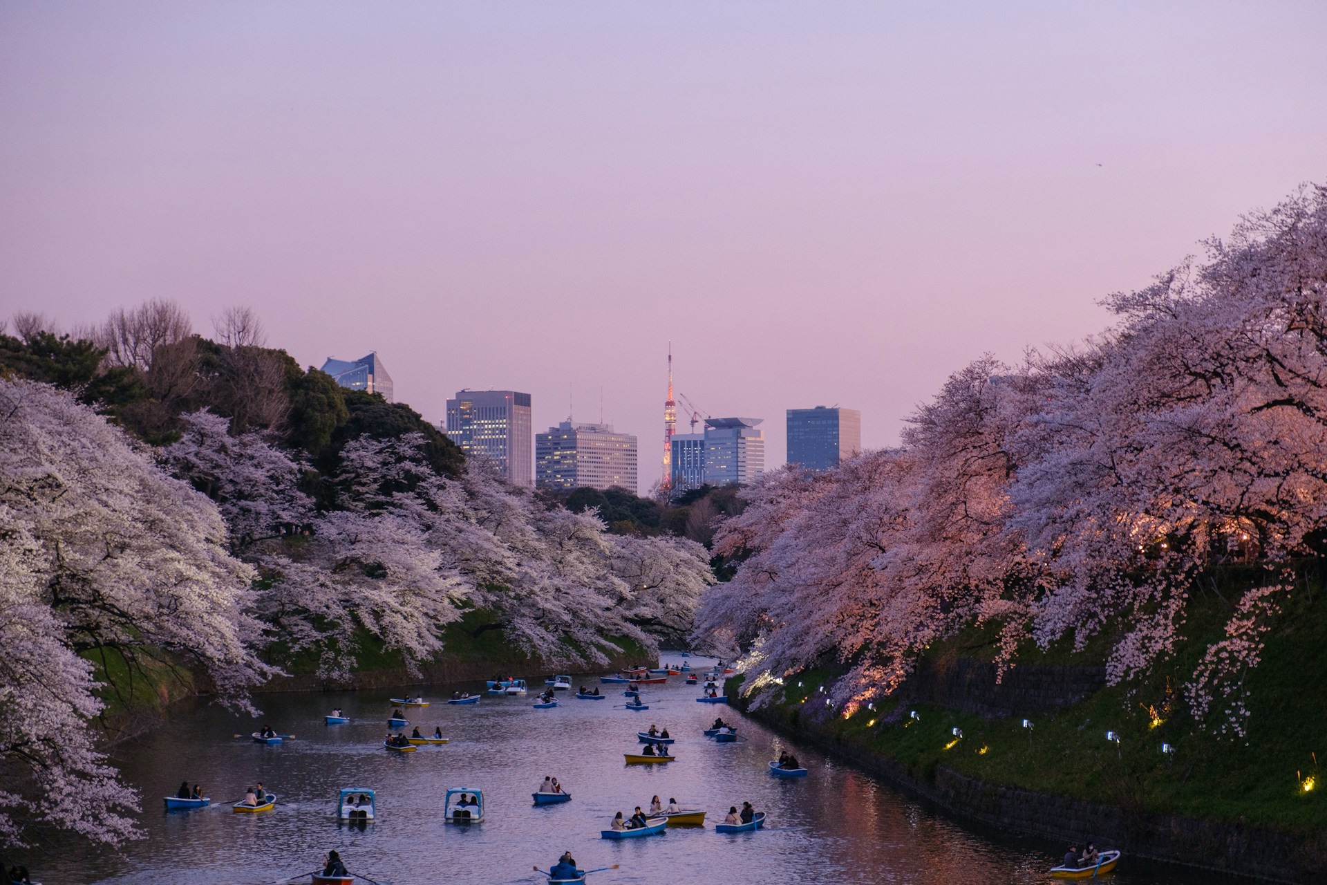 best time of year to visit japan