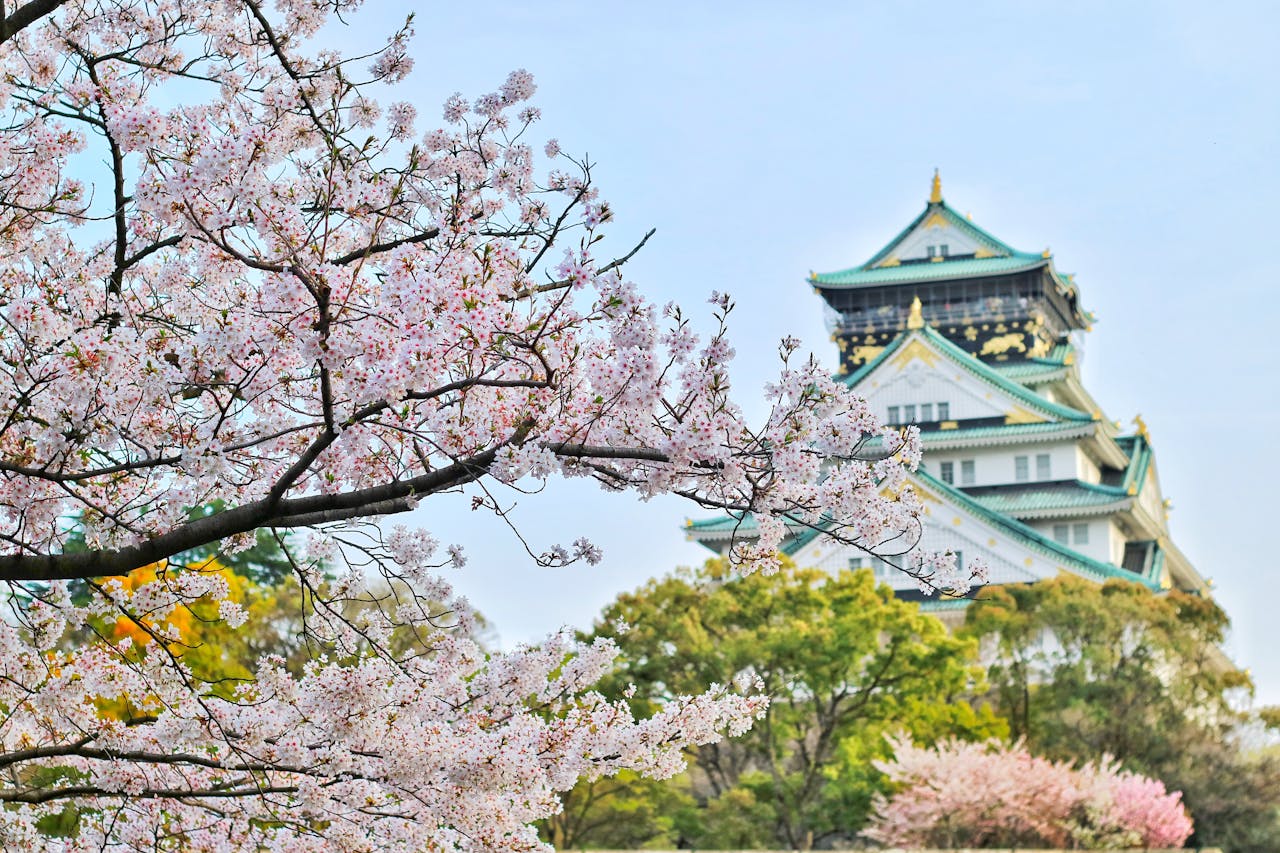 Best Time to Visit Kyoto, Japan for the Ultimate Experience