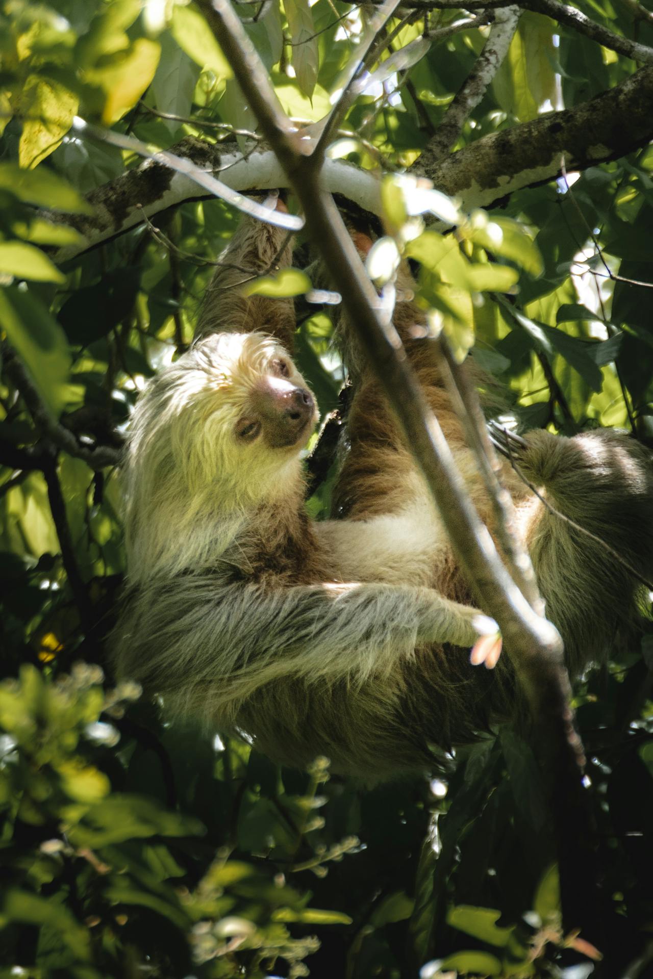 Manuel Antonio – Best for Beaches and National Parks