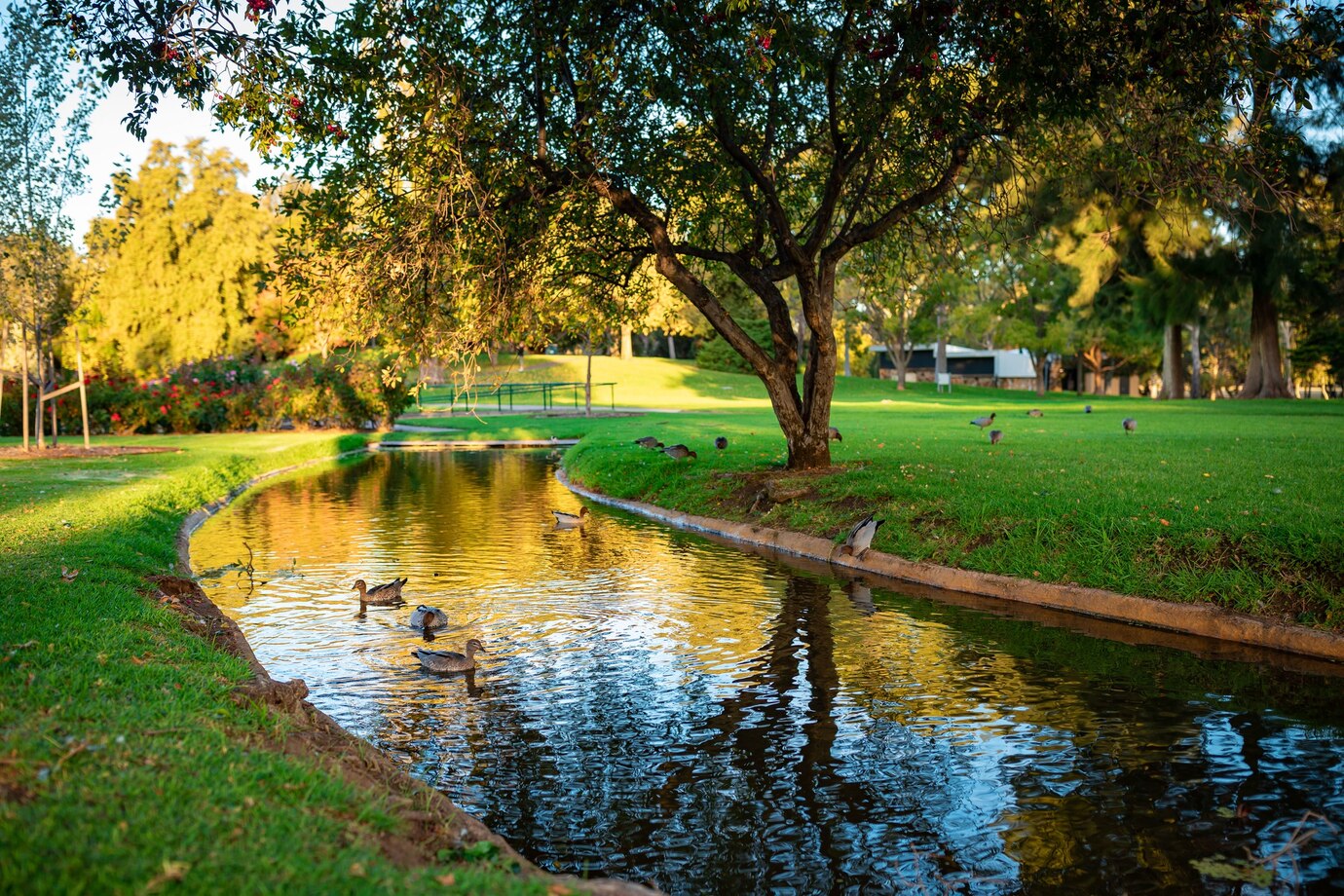 No Ticket Required: Free Fun in the World’s Favorite Places