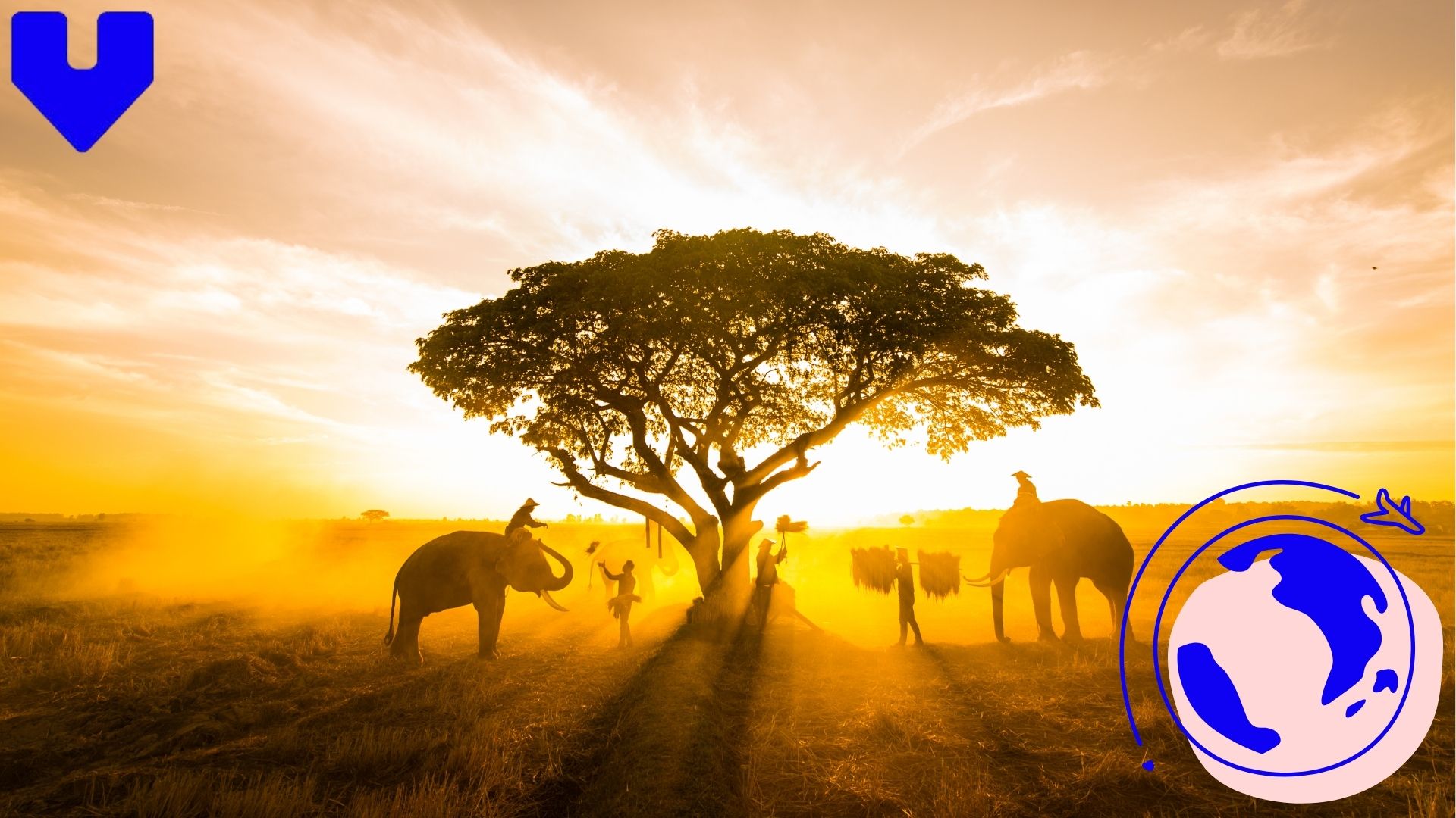 野生の世界へ — 世界のベスト・サファリパーク体験を巡る冒険