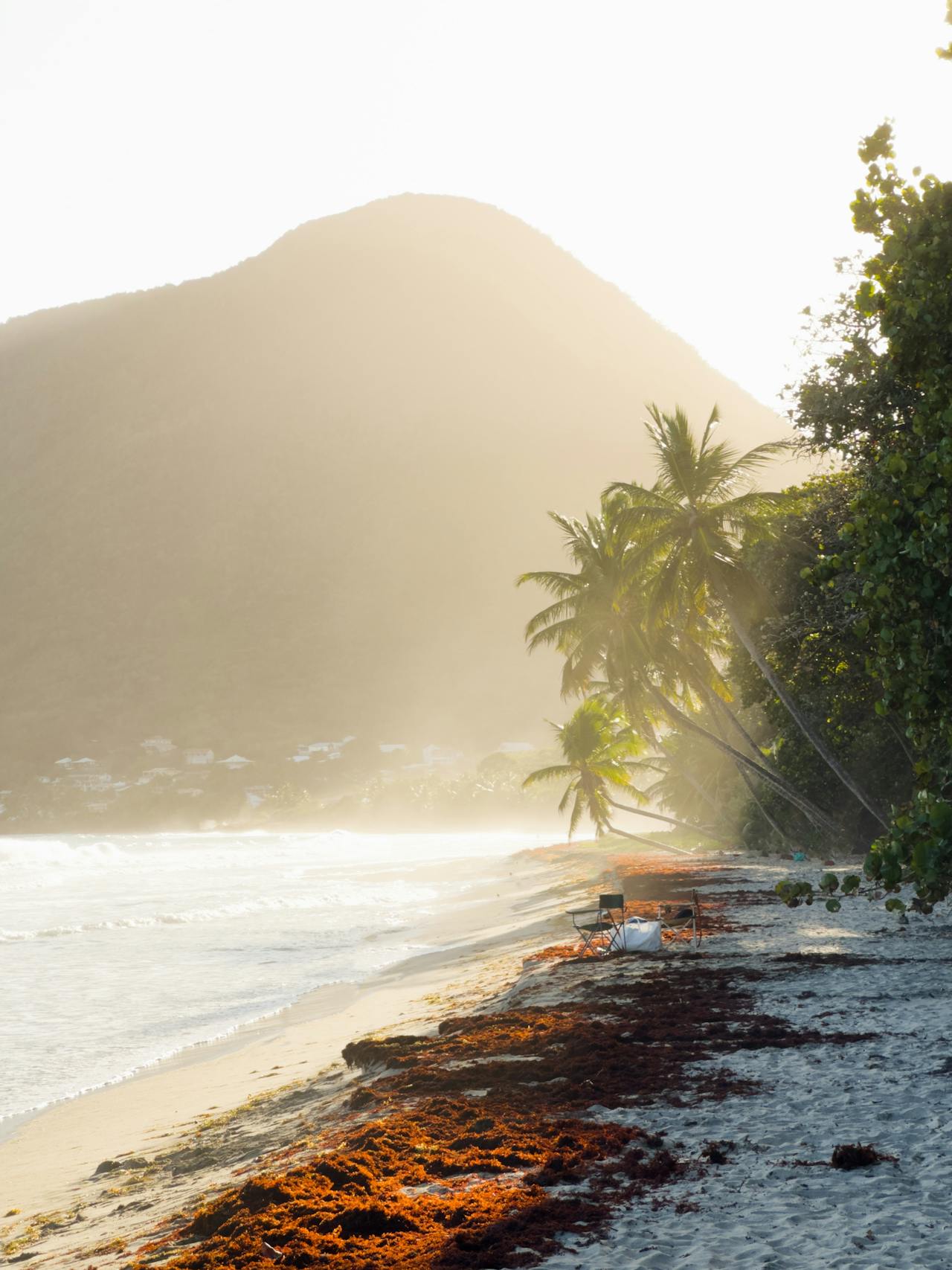 Martinique in Summer: A French-Caribbean Paradise Worth Exploring