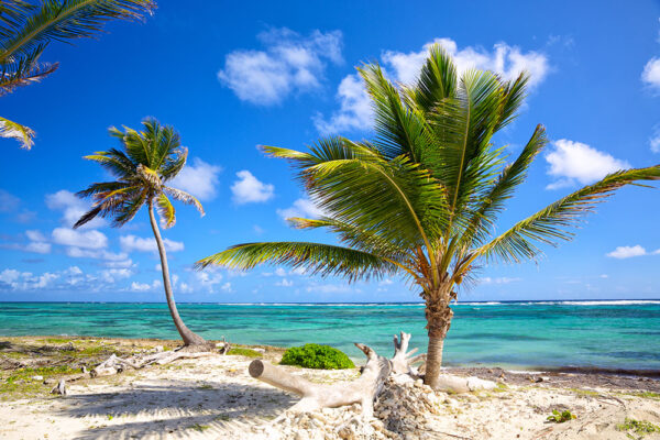Caribbean 7 Days 3GB
