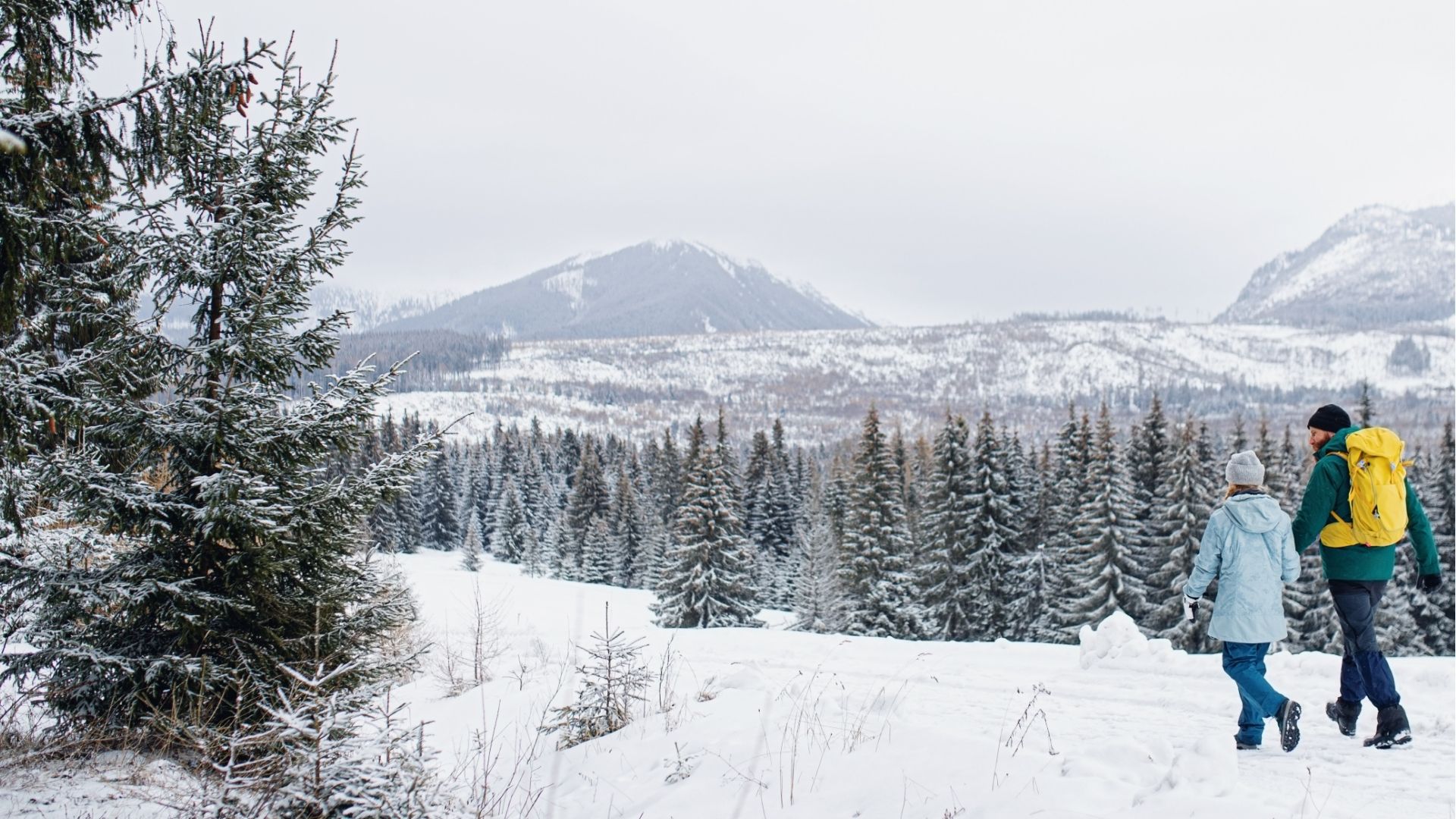 Canadian winters