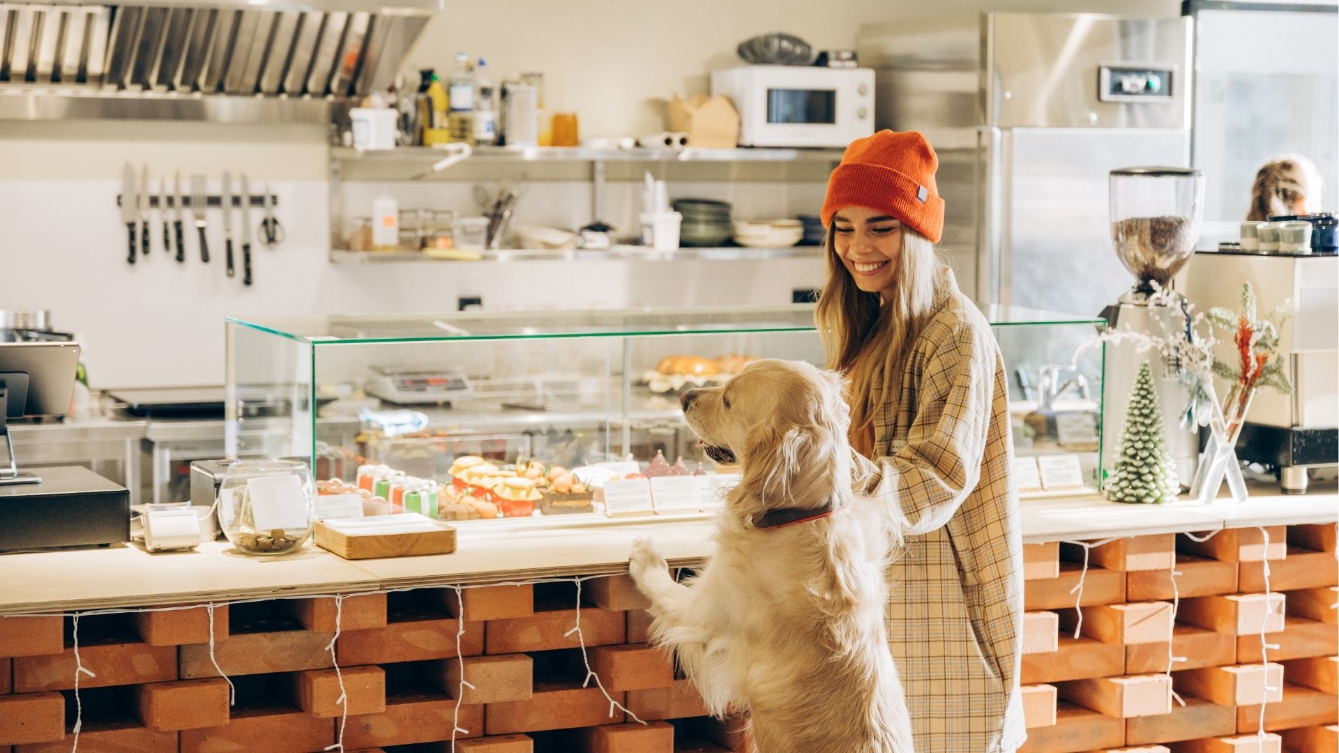 Golden retriever dog standing on hind legs looking at pastry display in cafe with owner