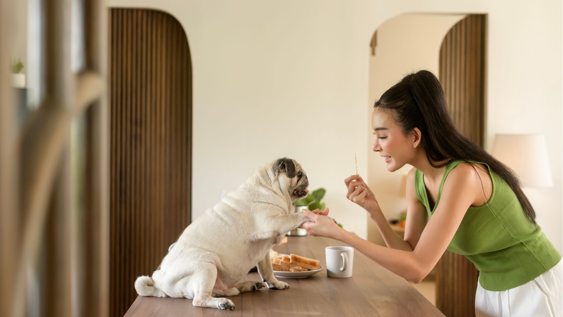 Woman preparing coffee and toast bread for breakfast enjoy with dog