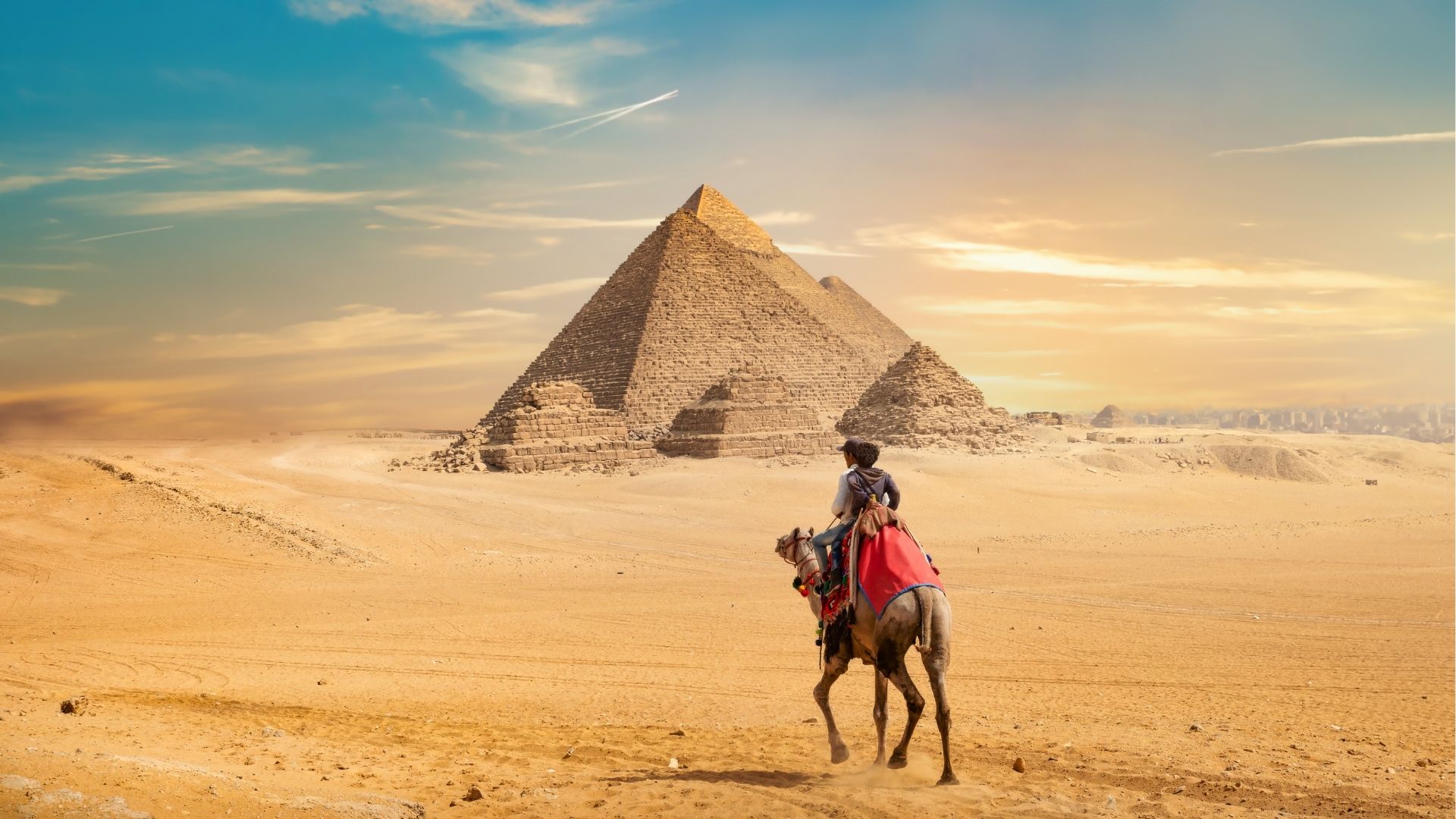 Camel and the Pyramids