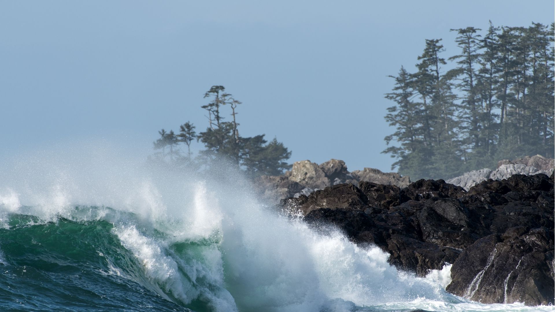 Storm Watching in Tofino