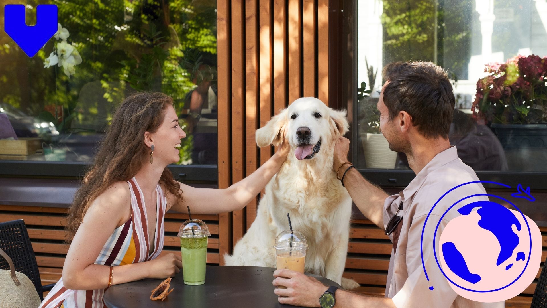 Pet-Friendly Restaurants and Hotels in Mostar
