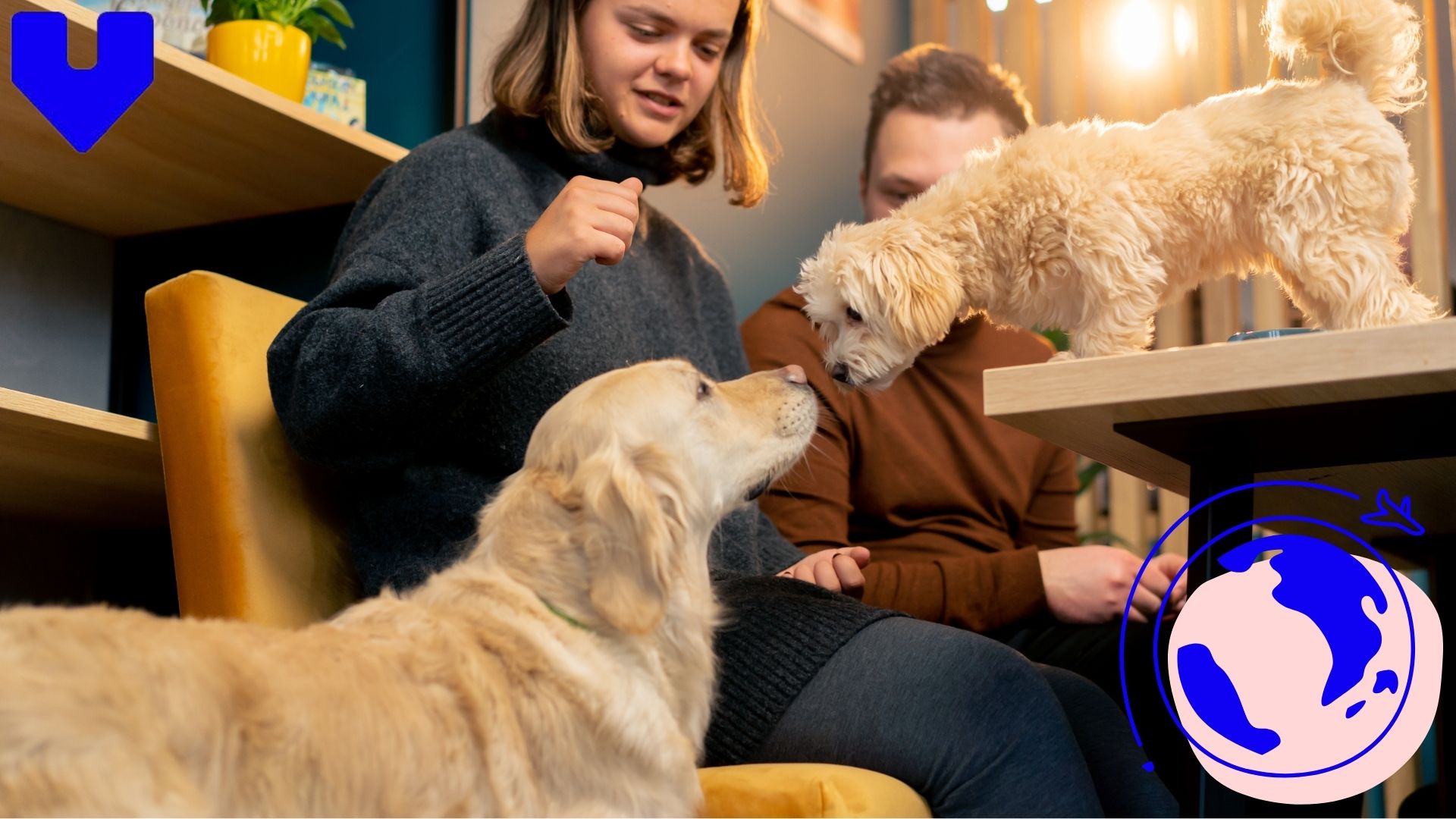 Pet-Friendly Restaurants and Hotels in Venice 2026: Where You and Your Furry Friend Are Always Welcome