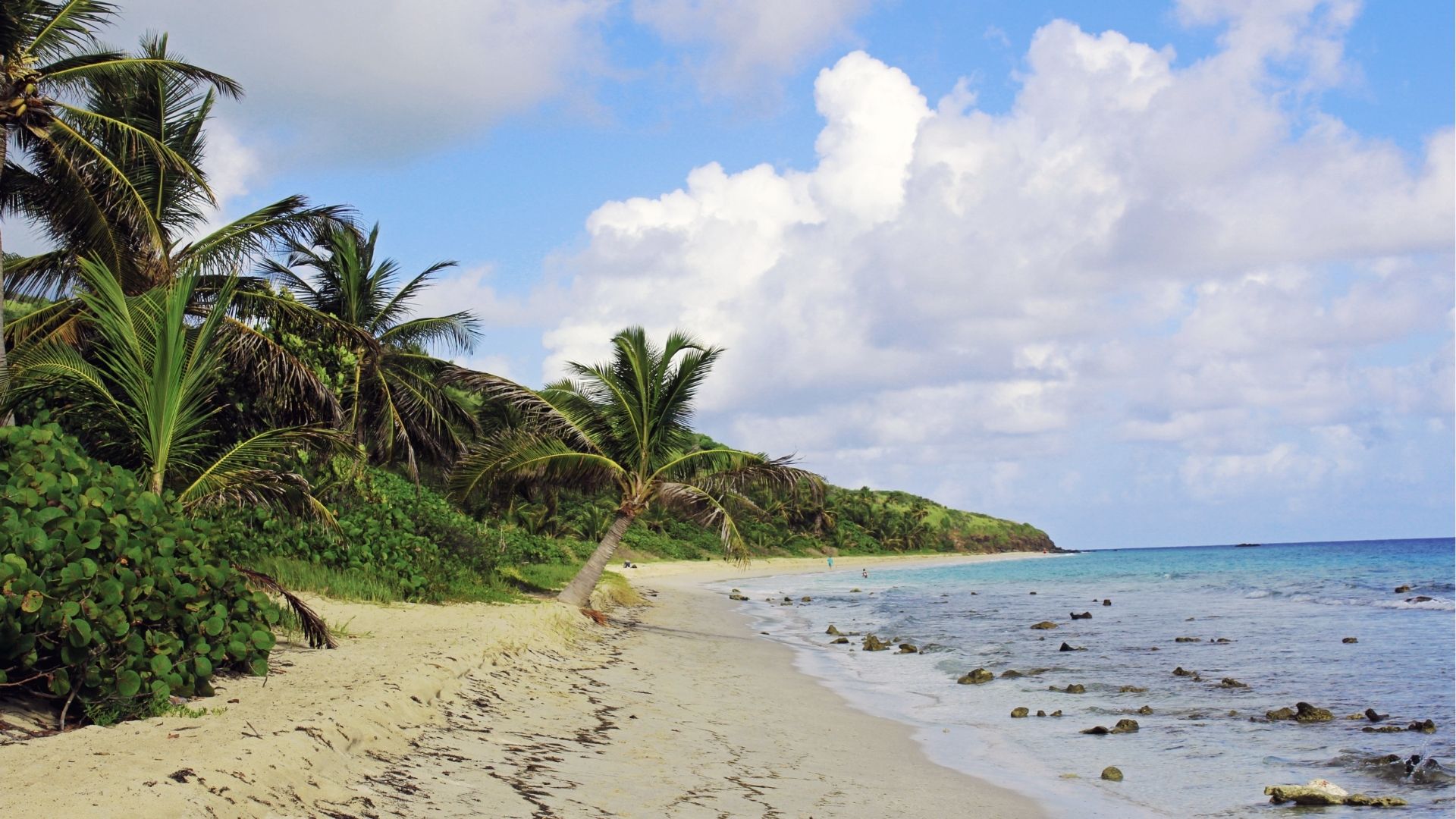 Gorgeous beach, clouds and palm trees