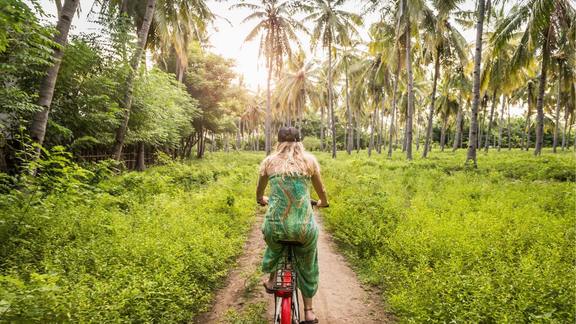 Woman cycling in palm tree forest
