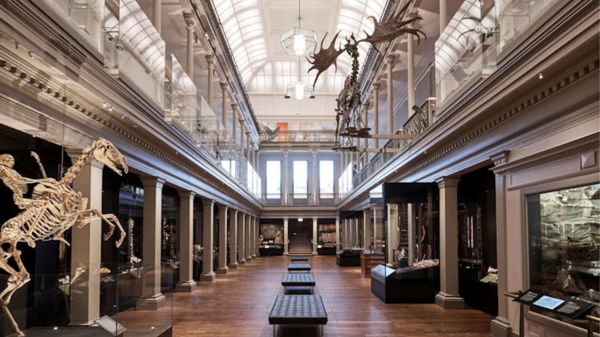 Grand hall of the Australian Museum featuring fossil exhibits.
