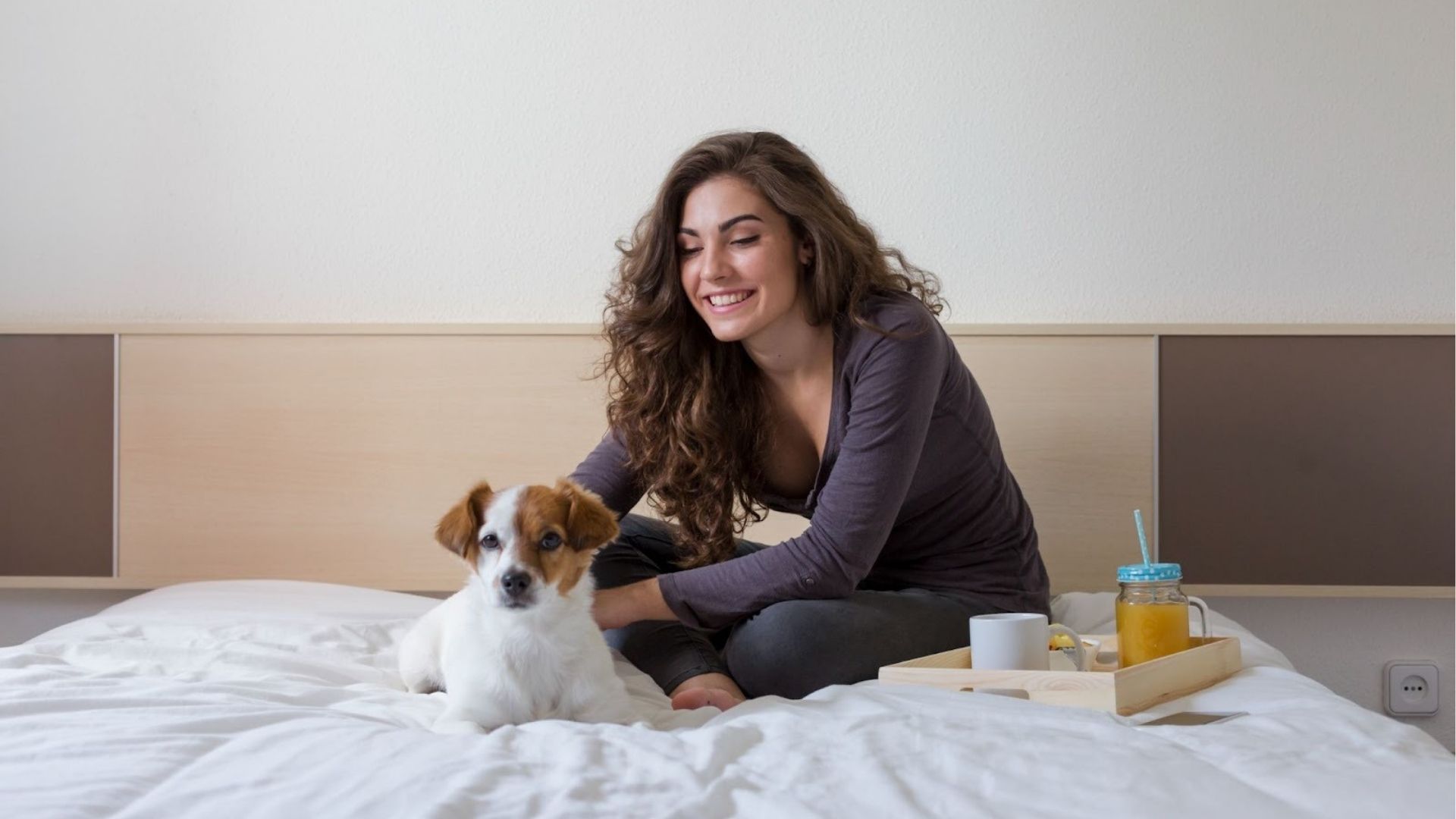 Pet-friendly travel experiences in Ljubljana