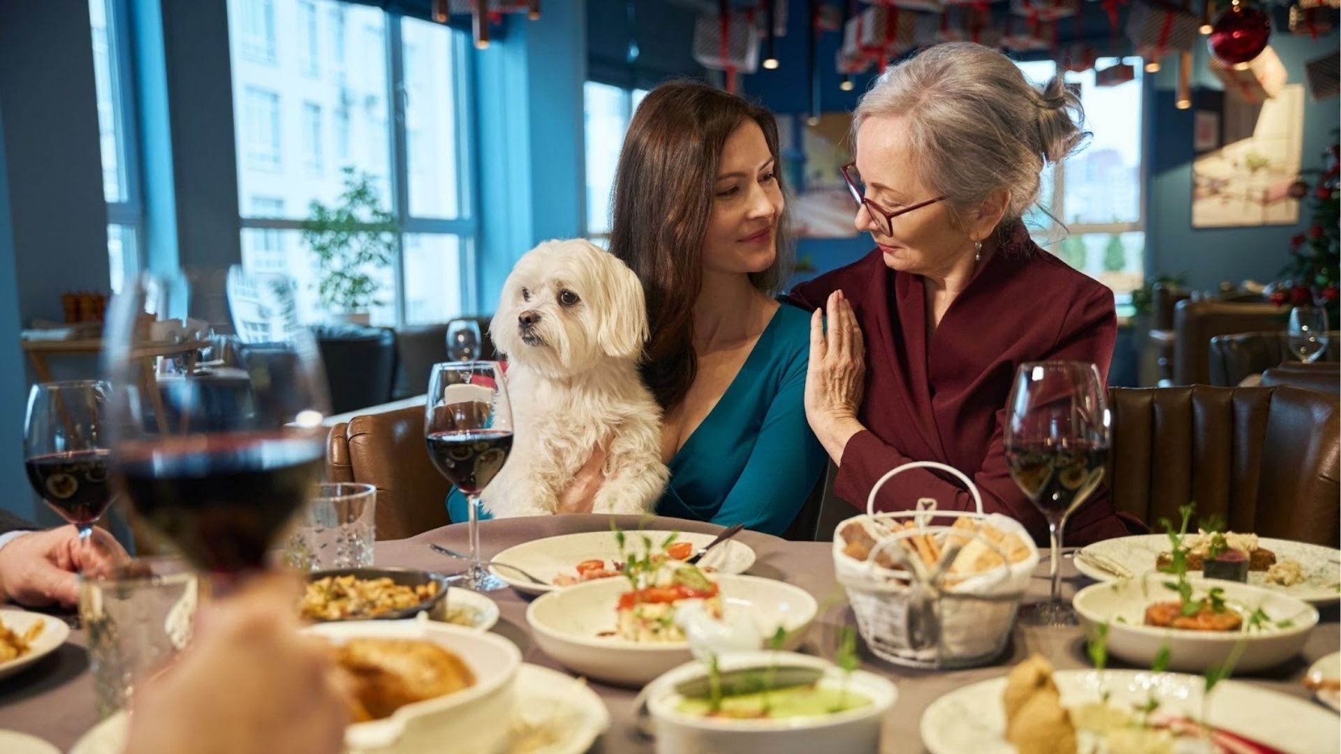 Outdoor Dining Spots that Welcome Dogs and Cats in Tirana