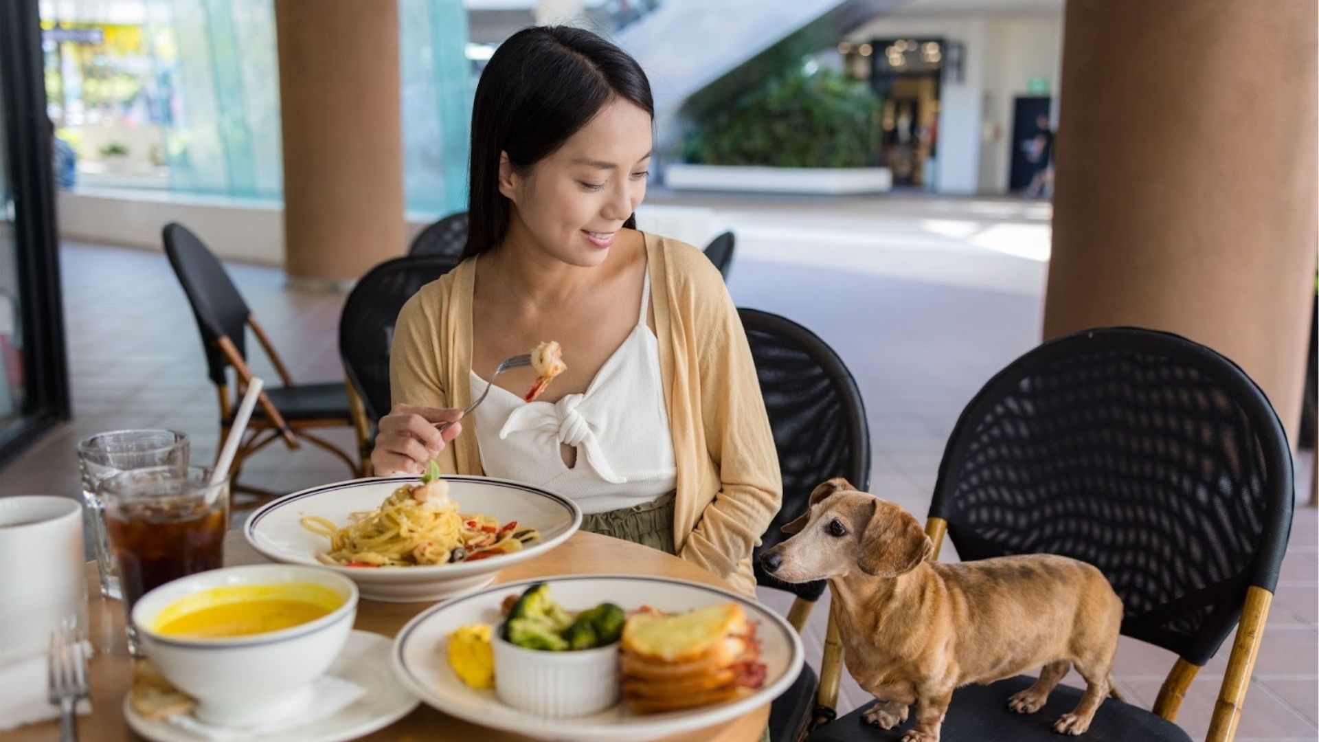 Pet-Friendly Restaurants in Oran