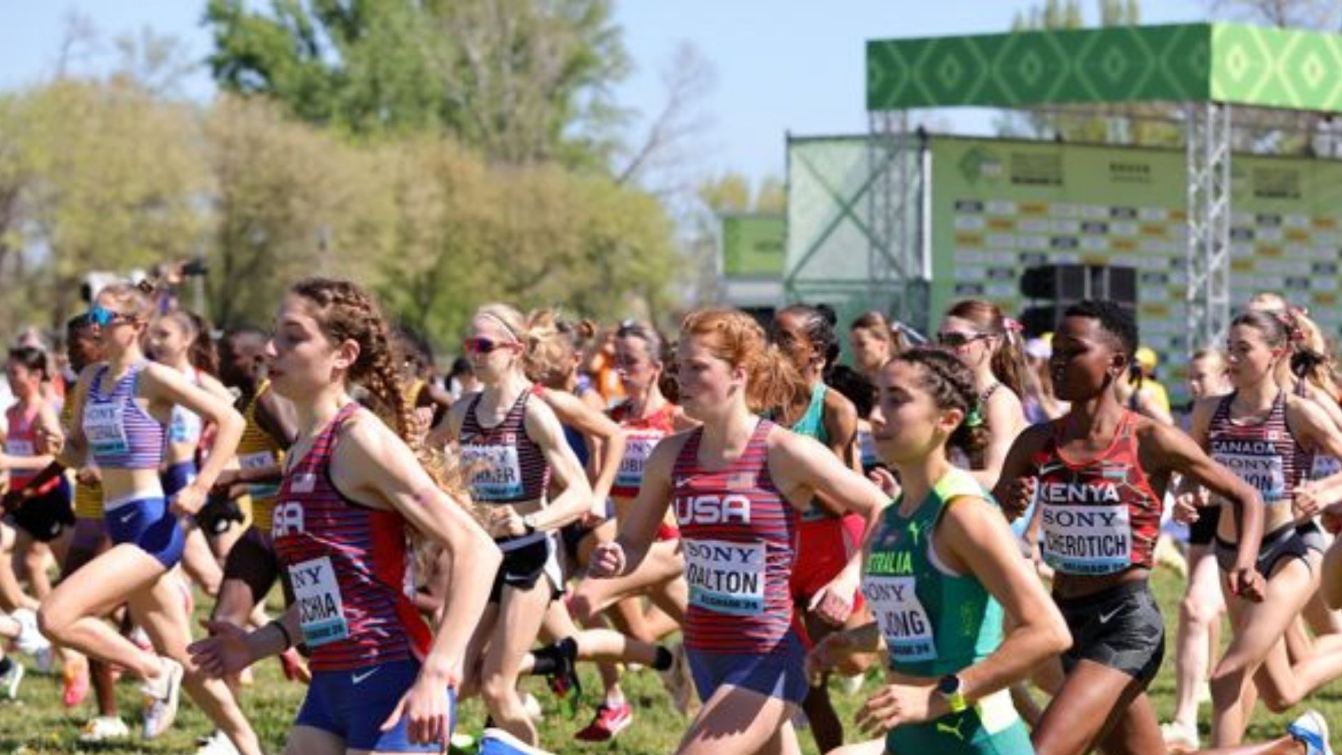 Cross country runners from multiple countries racing