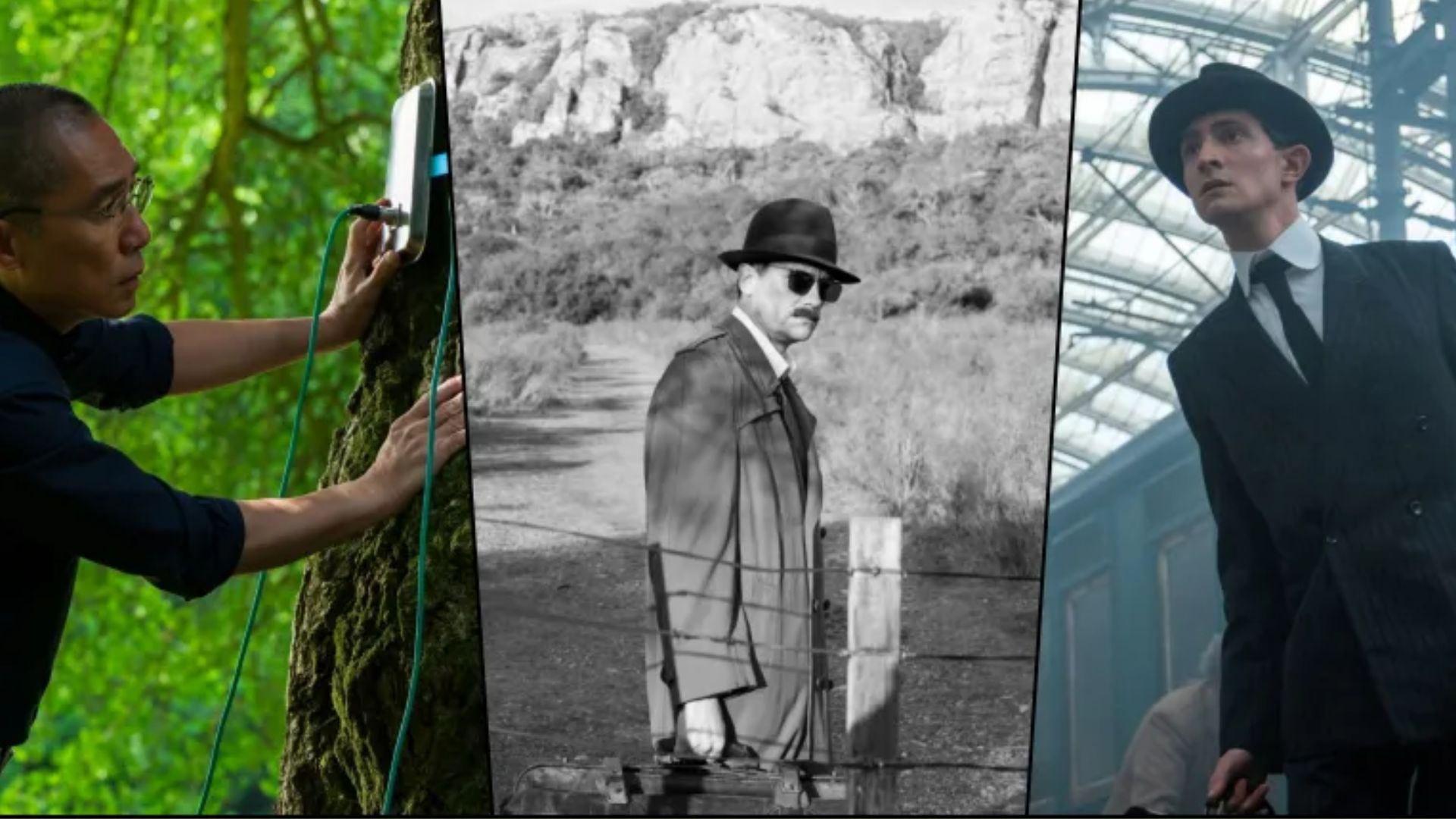 Trieste Film Festival and Alpe Adria Cinema logo representing international cinema event in Italy