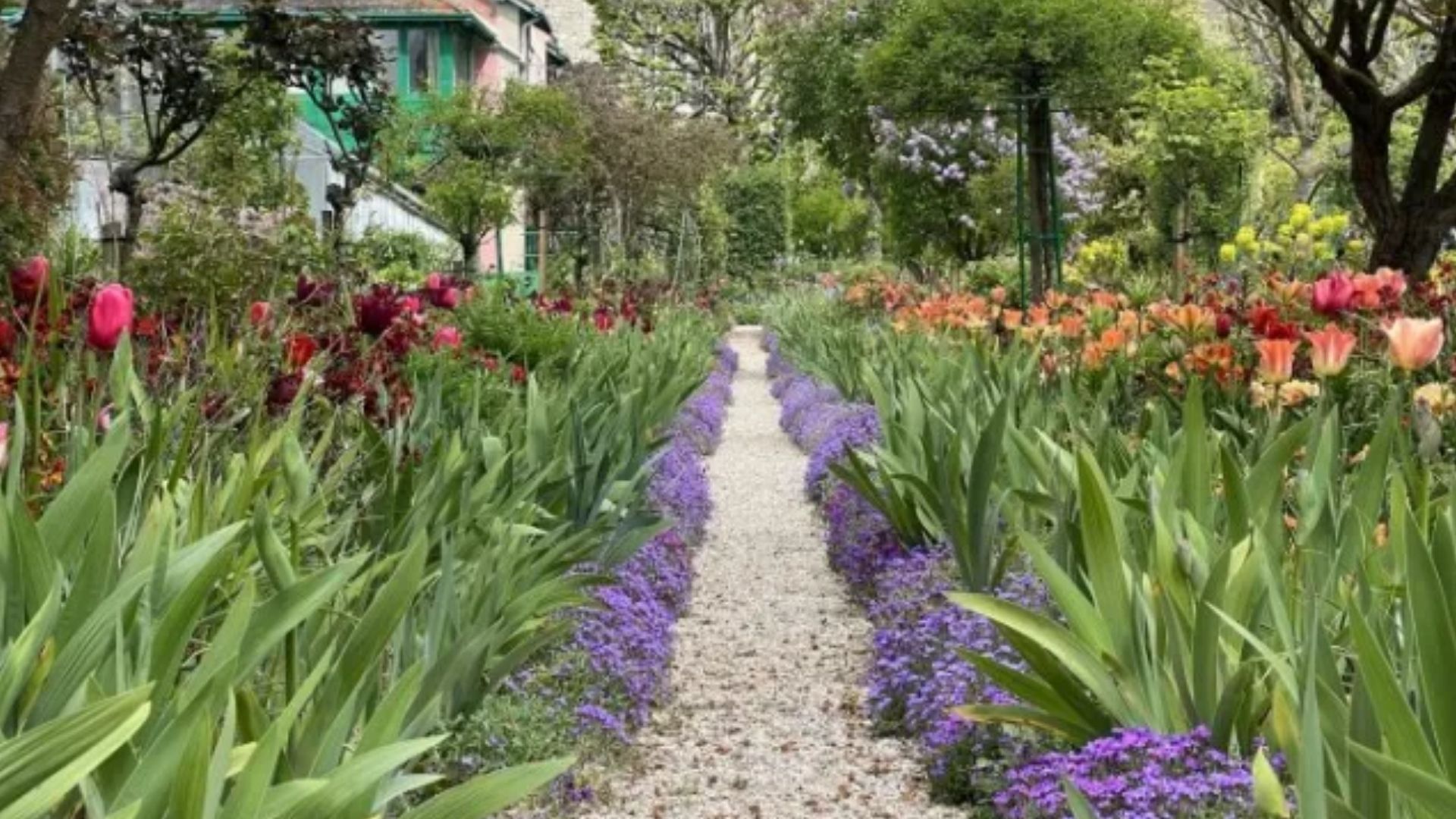 Giverny garden spring blooms