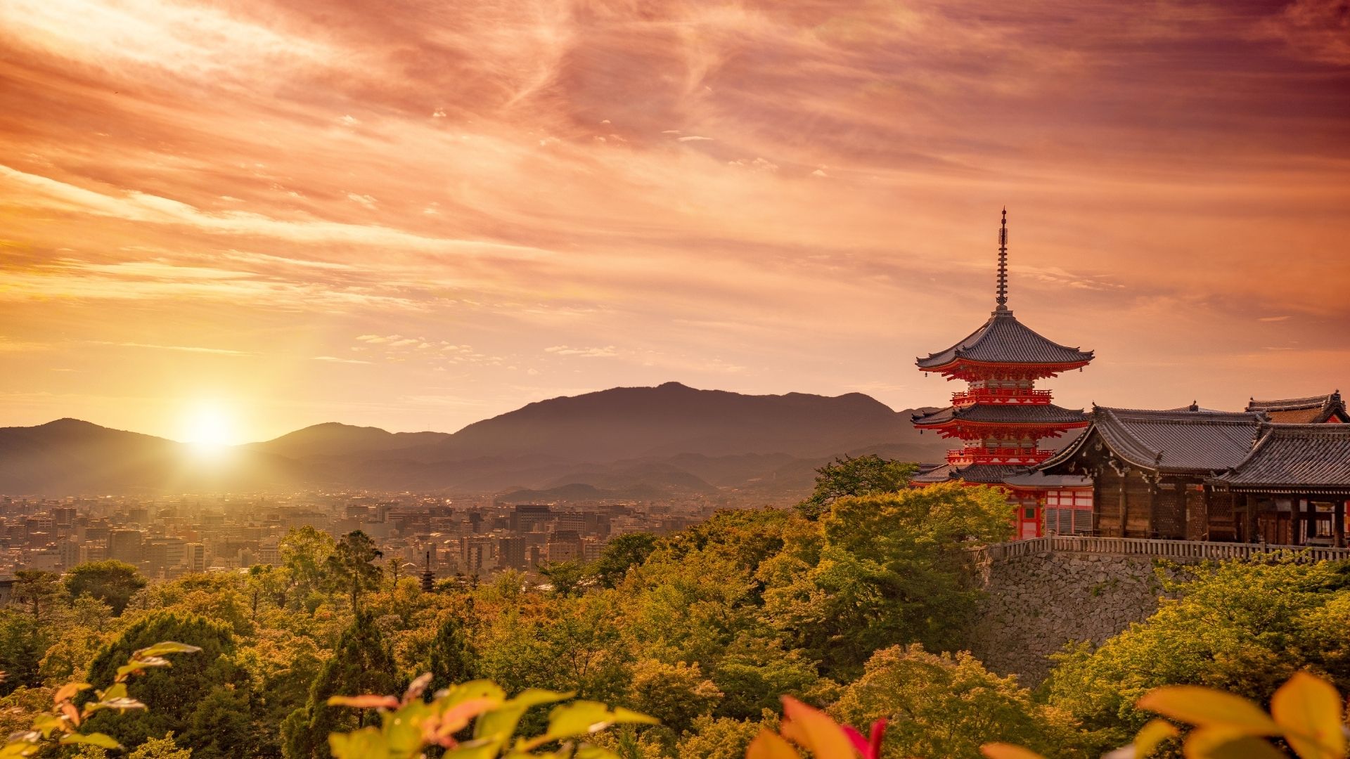 Why Japan Is So Popular with US Tourists