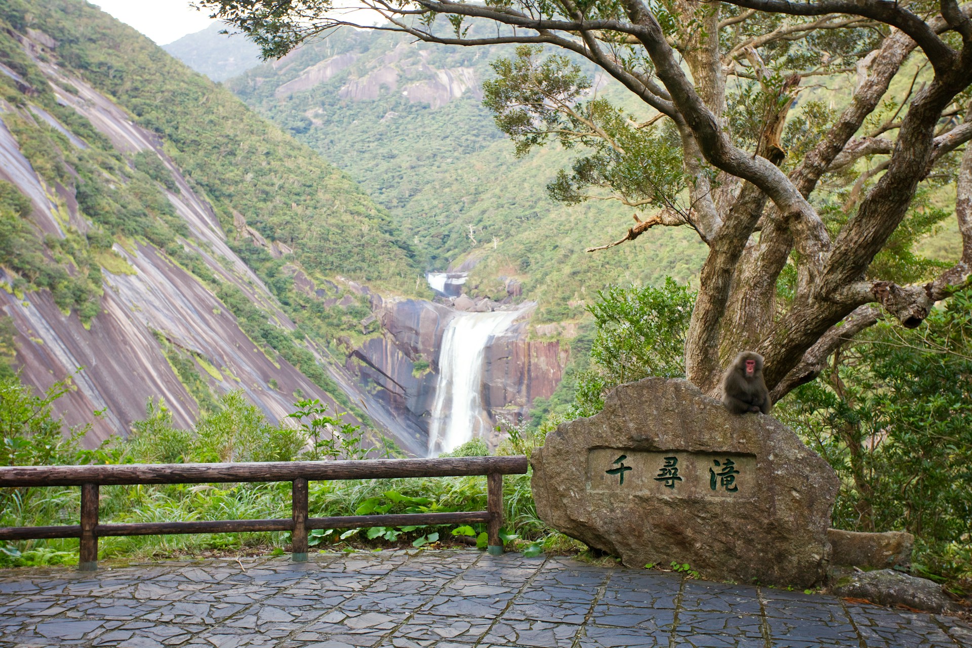 Yakushima Island, Japan