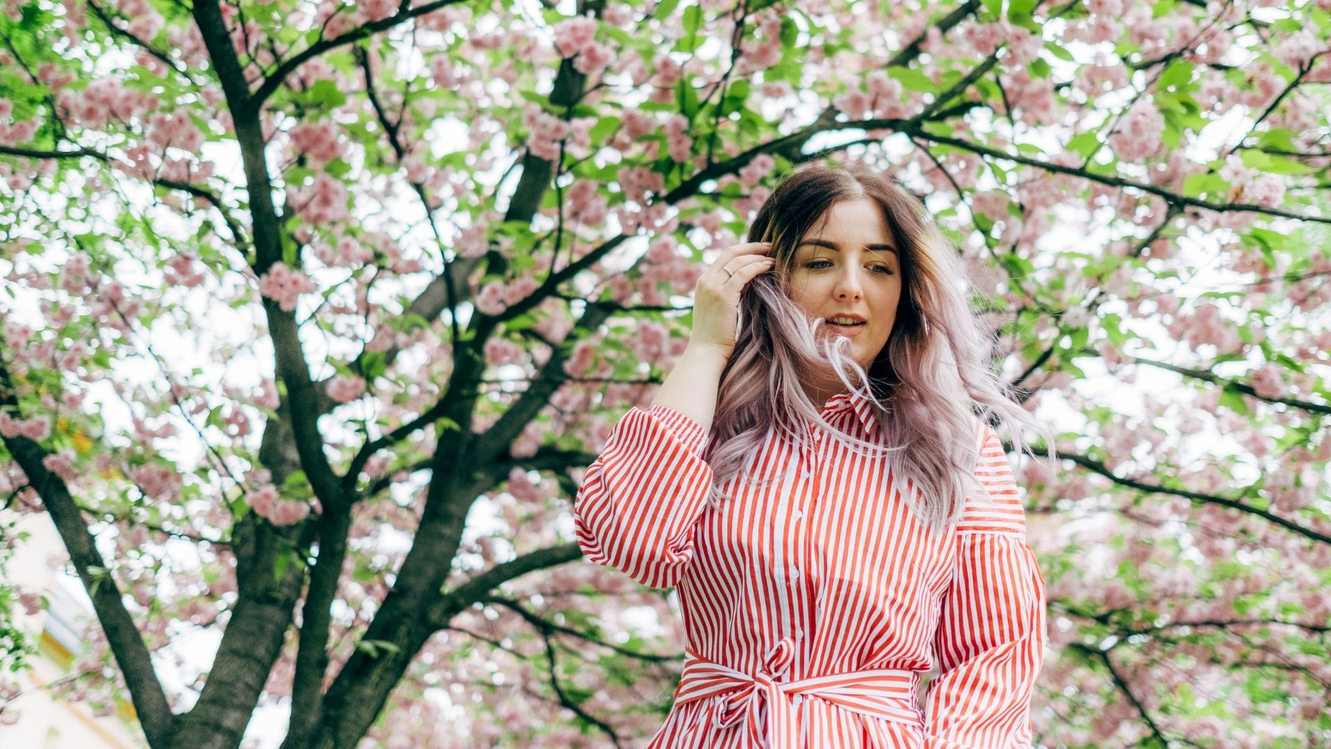 Woman Enjoying Sunny Day In Park During Cherry Blossom Season