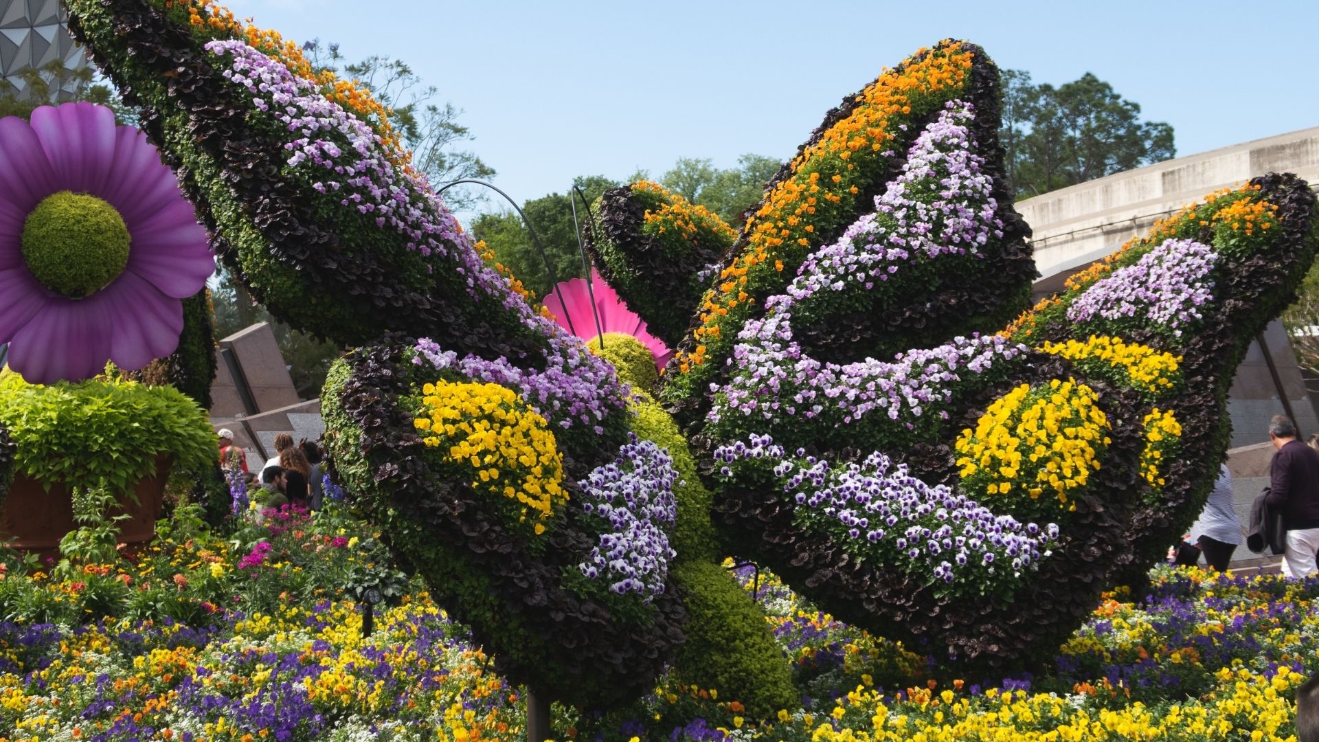 Colorful Flower Butterfly Topiary at a Garden
