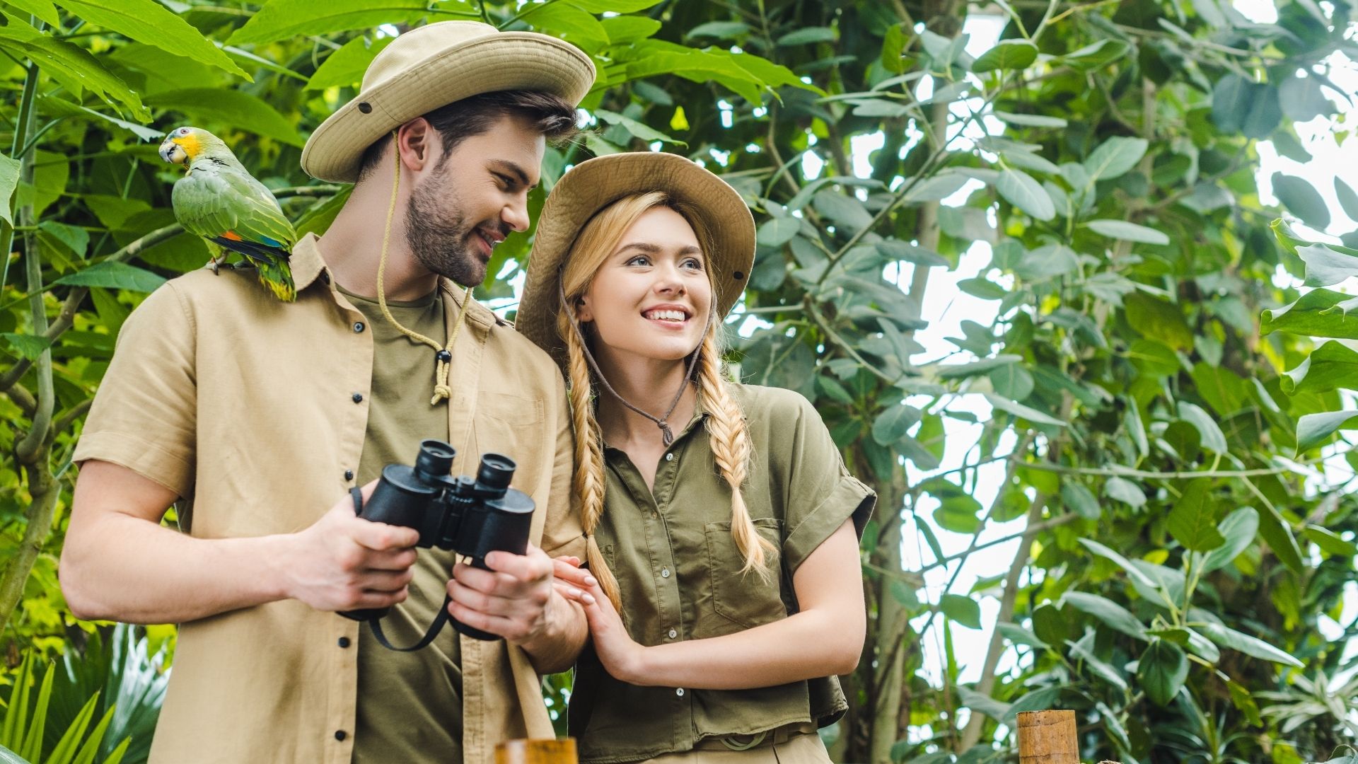 Majestic Neela Nala tiger in its natural habitat in the Kanha National Park in India
