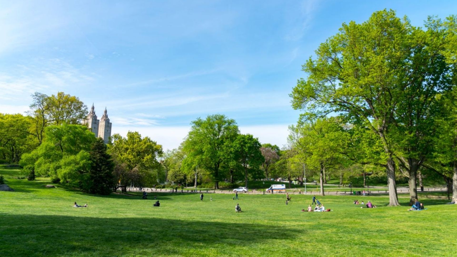 Central Park in New York City with green lawns and people relaxing in summer