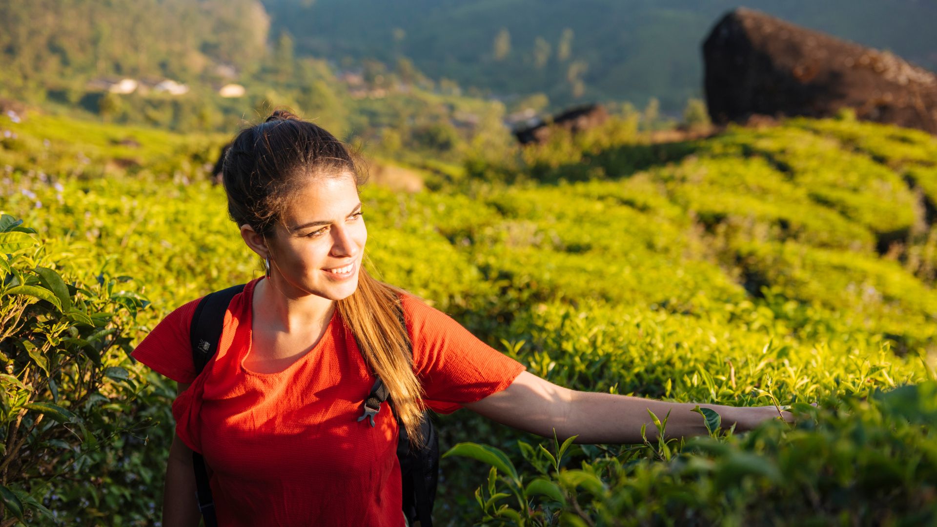 Travel on a budget with Voye Global