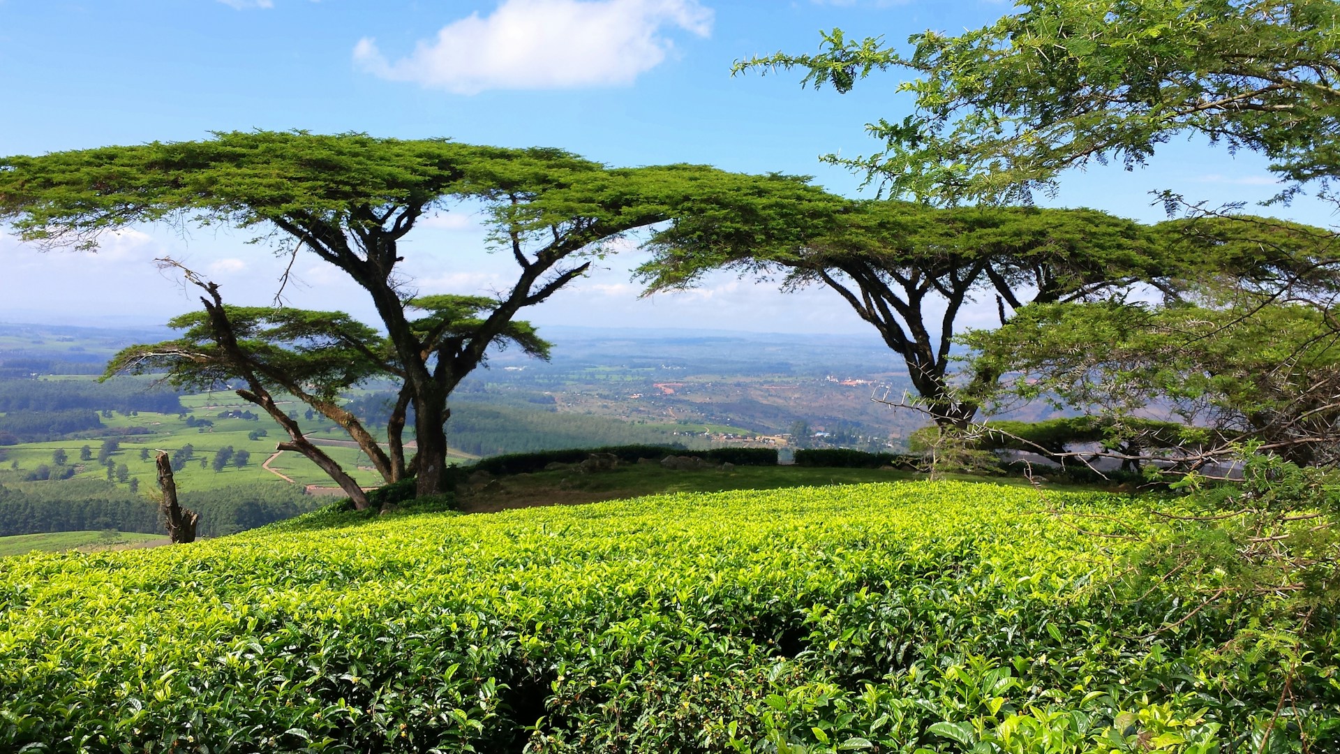 Malawi travel eSIM