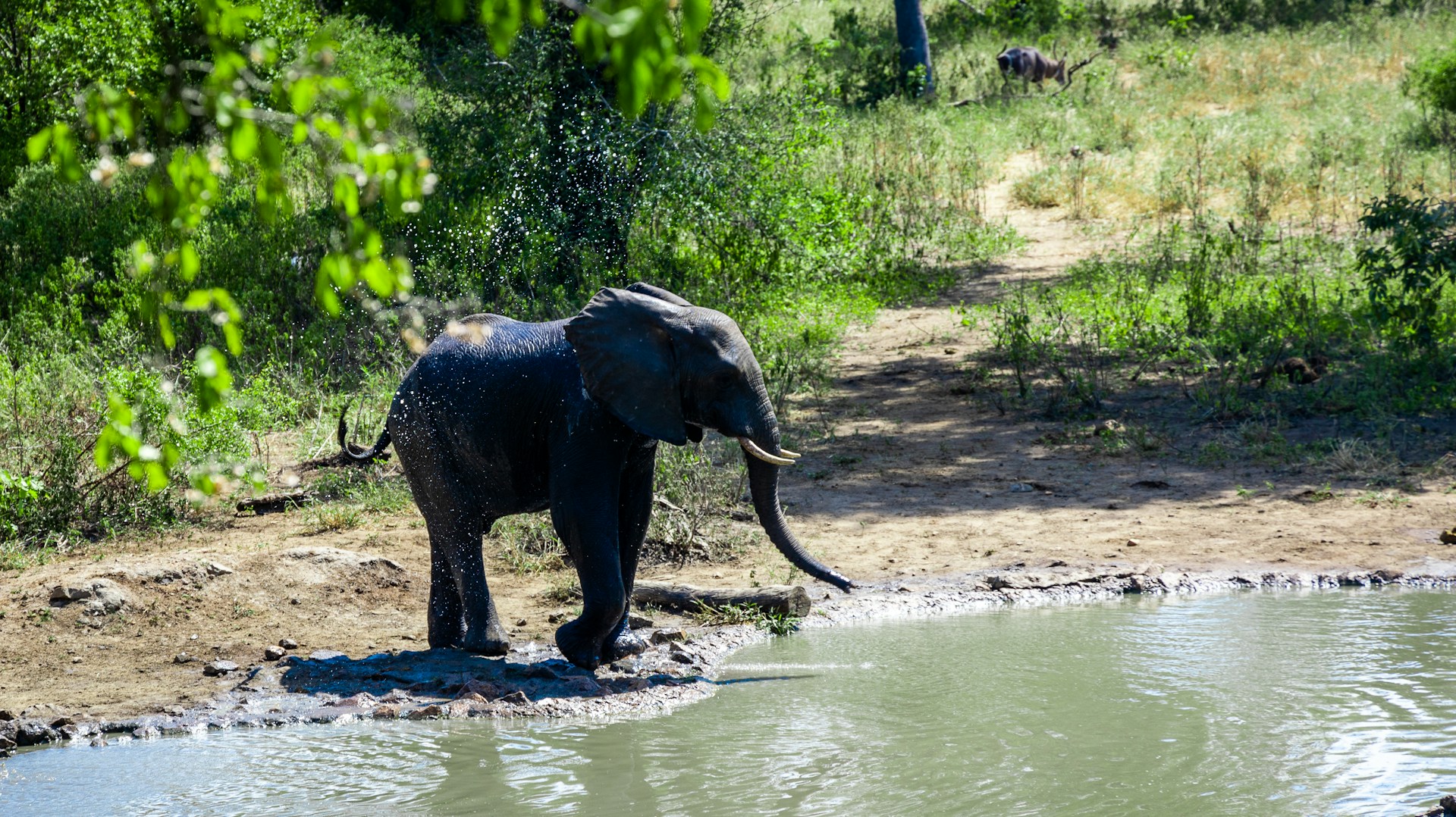 Malawi travel eSIM