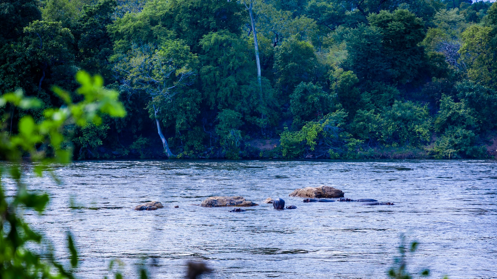 Malawi travel eSIM