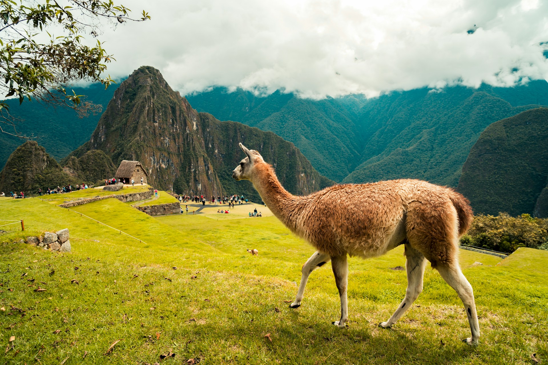 Local Mobile Networks in Peru (What They’re Actually Like)