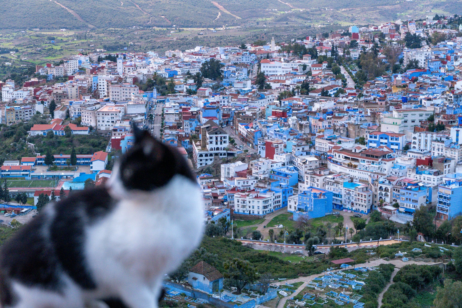 Morocco Network Coverage