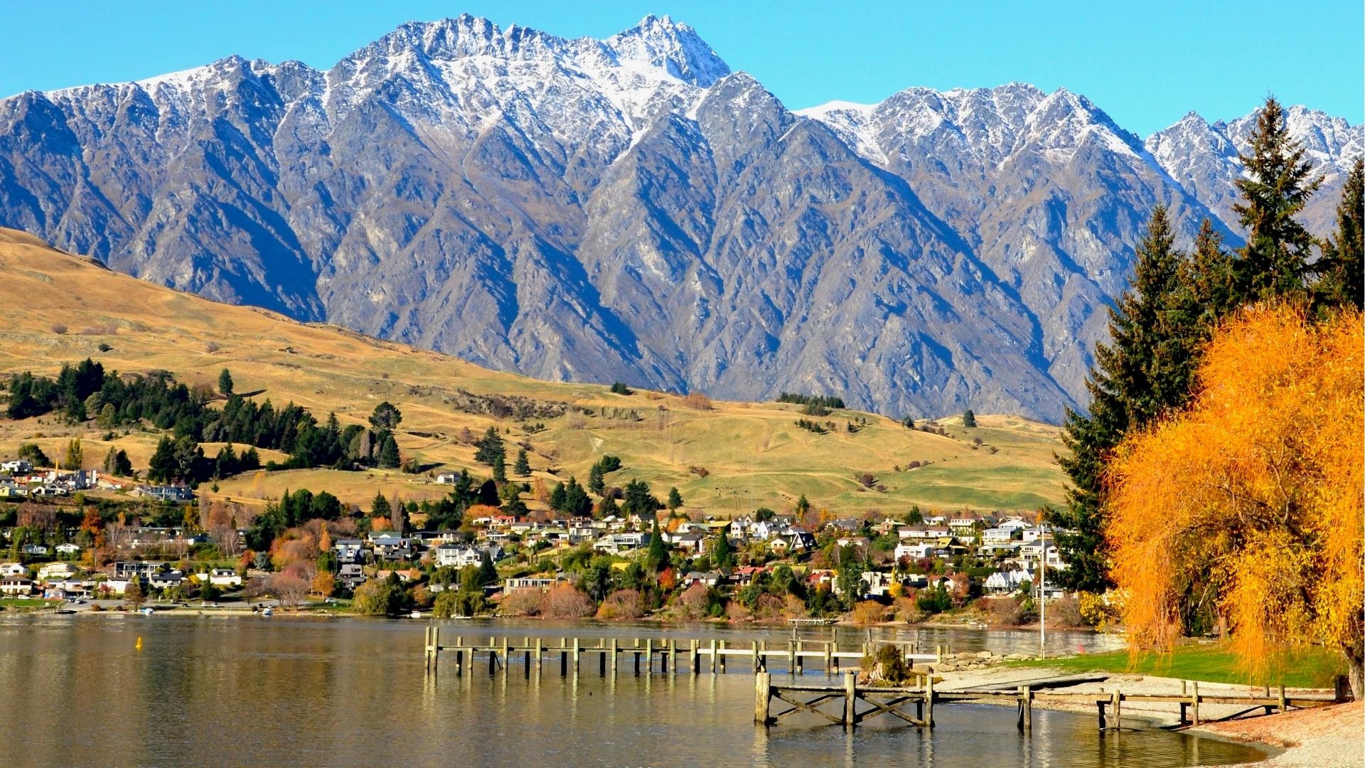 Stay Connected While Traveling Across New Zealand