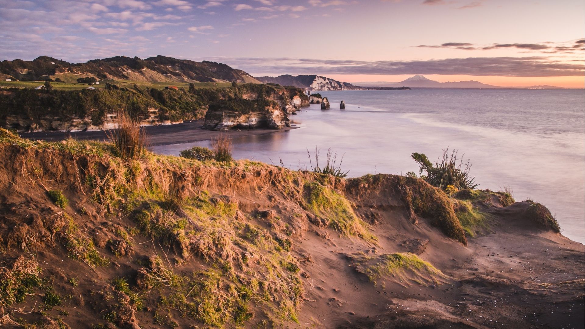 Internet Connectivity in New Zealand