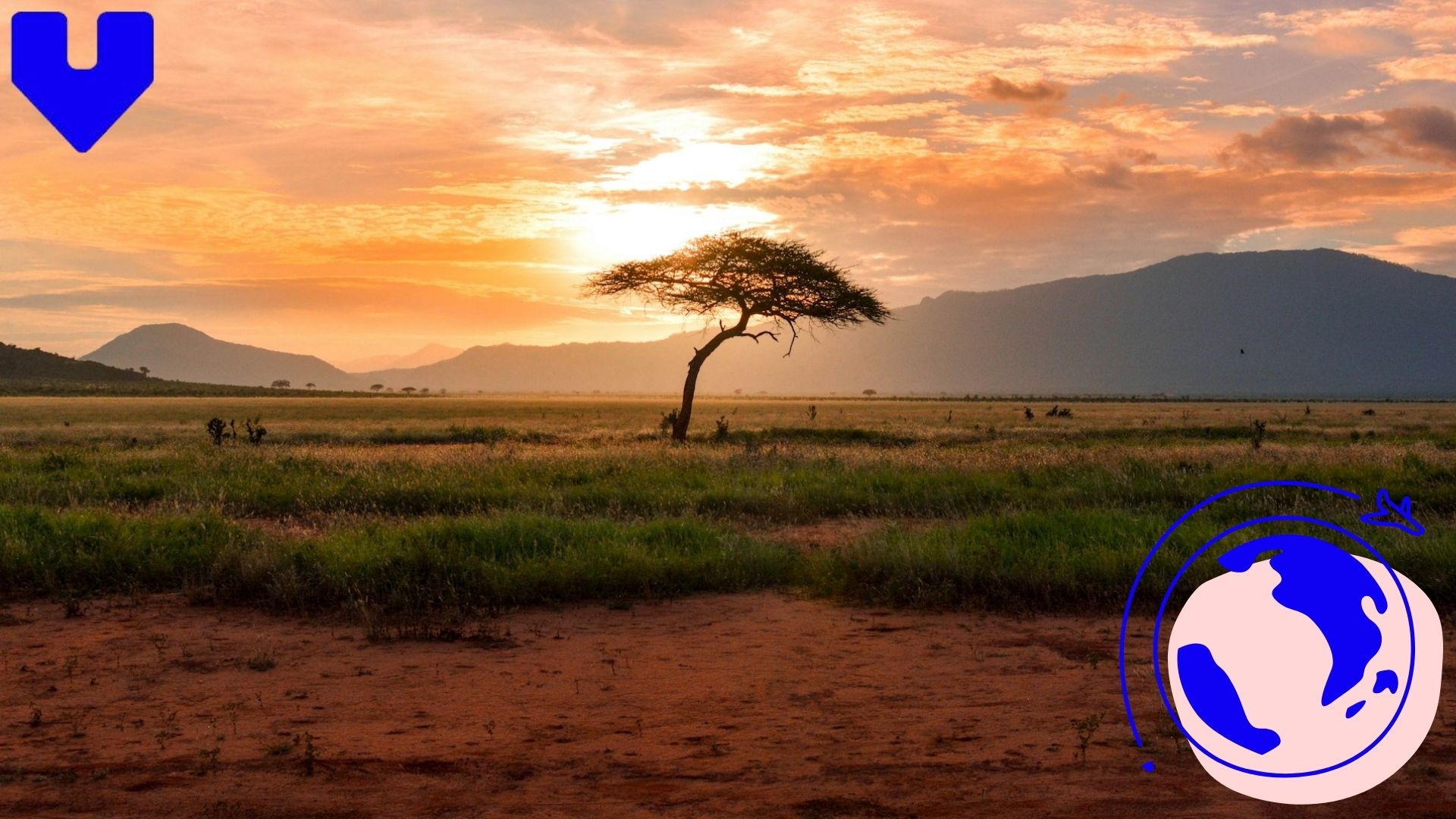 East Africa in June: Why This Is the Best Month to Go on Safari