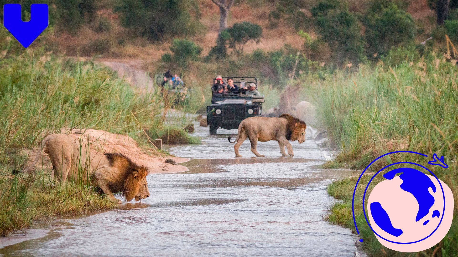 Kruger National Park: South Africa Safari Guide for First-Time US & UK Visitors