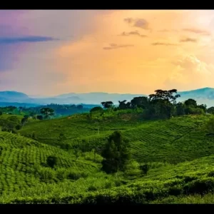 Uganda 15 days 5GB
