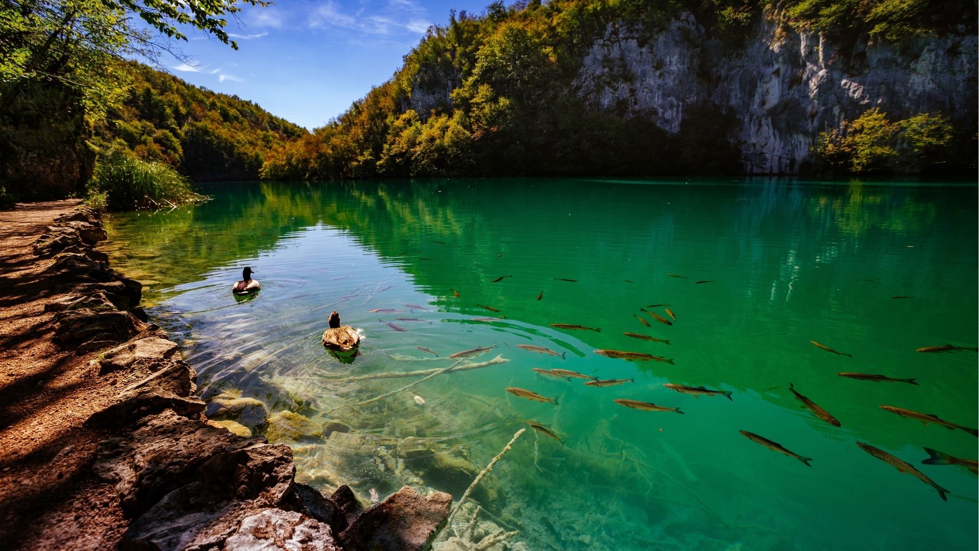 Plitvice Lakes National Park Croatia: Everything You Need to Know Before You Go