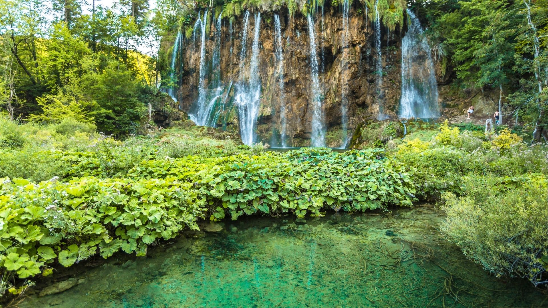 Plitvice Lakes National Park Croatia: Everything You Need to Know Before You Go