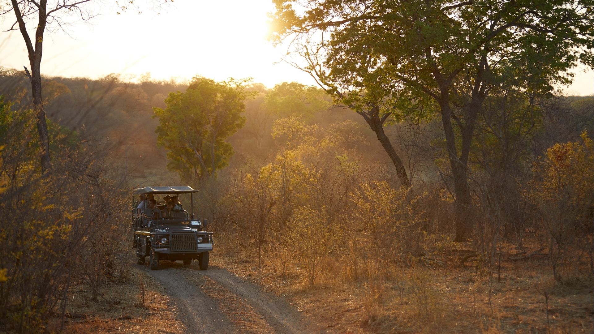 Kruger National Park: South Africa Safari Guide for First-Time US & UK Visitors