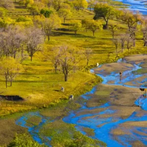 Zambia 7 days 3GB