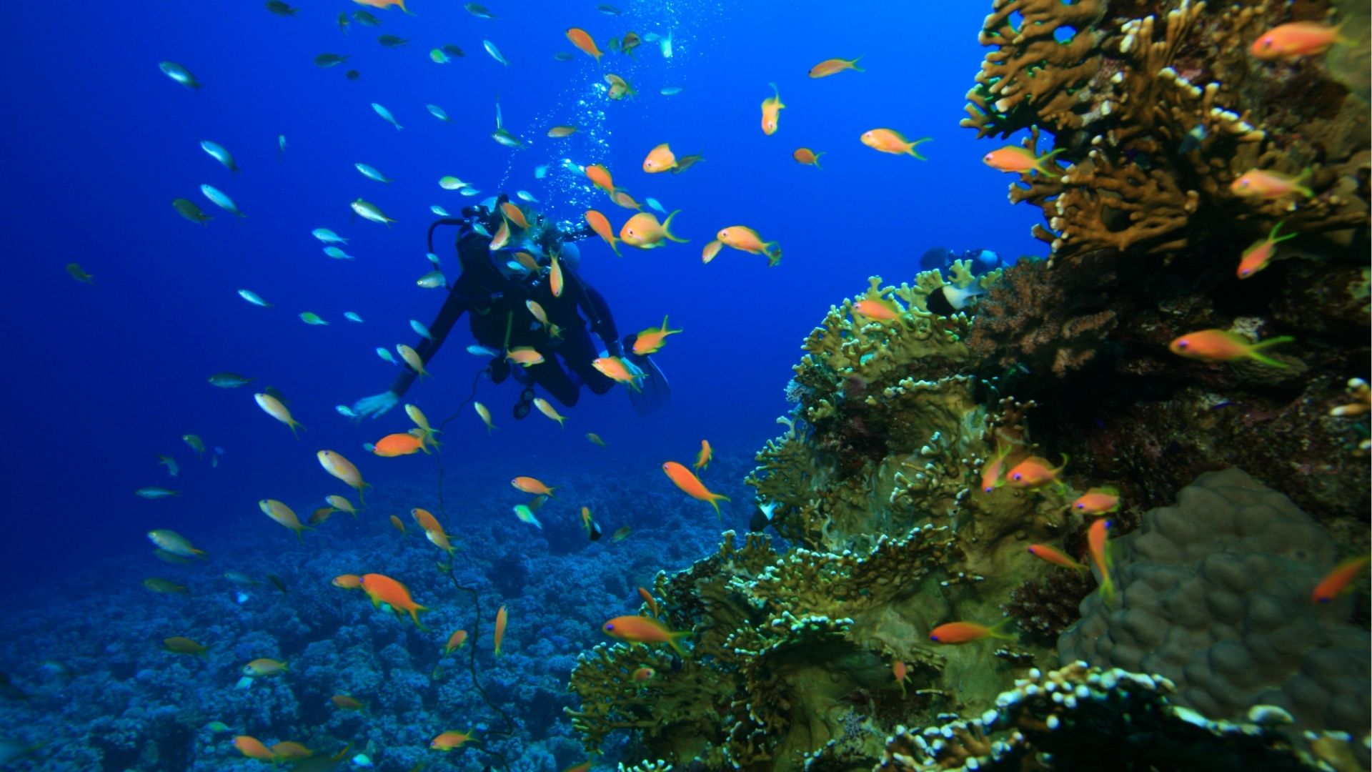Underwater Archaeology Week 2026: Croatia Travel Guide
